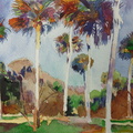 Palms