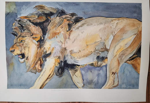Sir Edwin Henry Landseer,Lion,1862 watercolor size 14 x 21