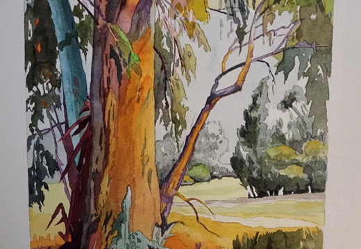 Orange Tree