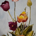 Charles Demuth